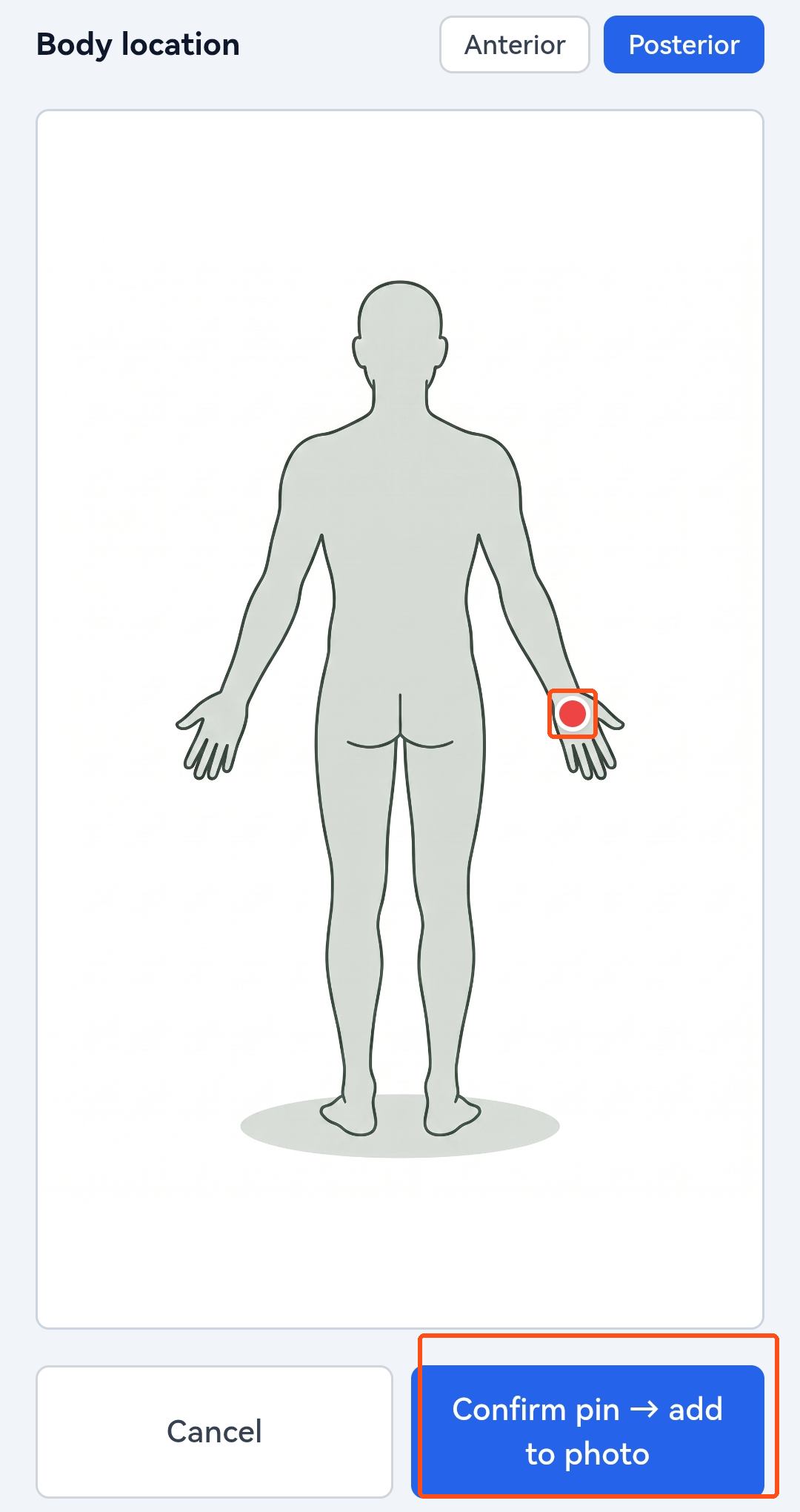 The body map with a pin